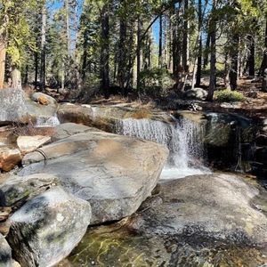 Meet your Posher, America